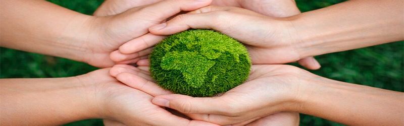 Ecológico