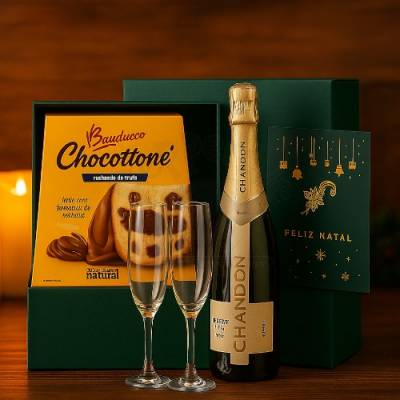 Kit Promocional Celebração